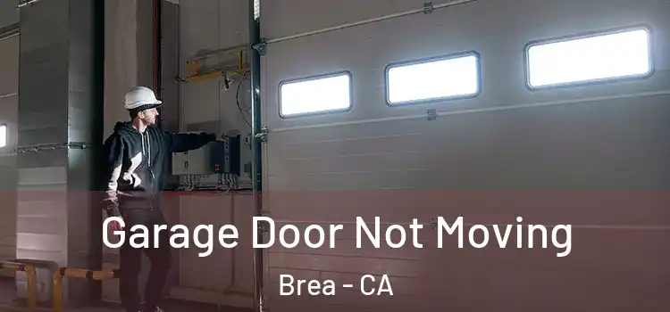  Garage Door Not Moving Brea - CA