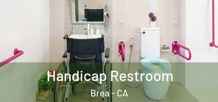 Handicap Restroom Brea - CA