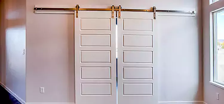 Glass Barn Door with Installation Hardware Kit Brea