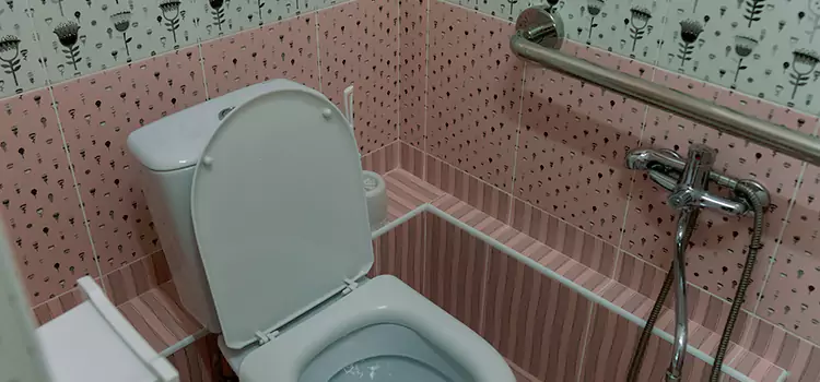 Meeting Diverse Needs With Accessible Restroom Solutions in Brea, CA