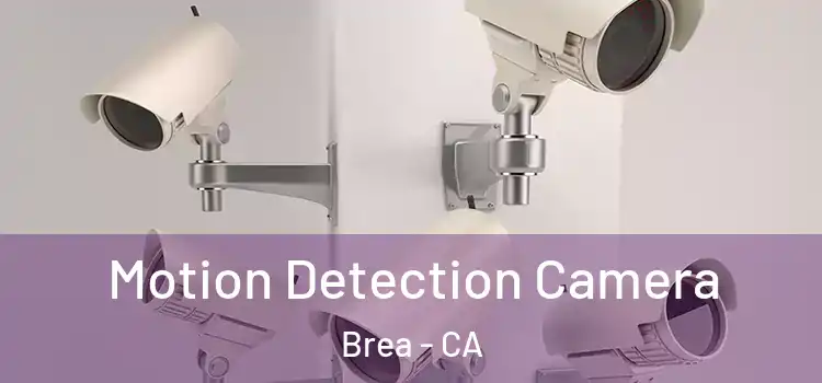  Motion Detection Camera Brea - CA